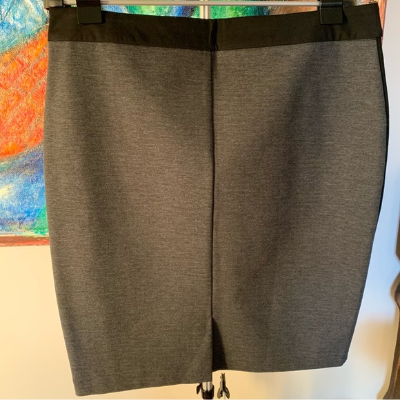 SC&CO XL Skirt Slimming Panels Stretchy - Picture 6 of 9